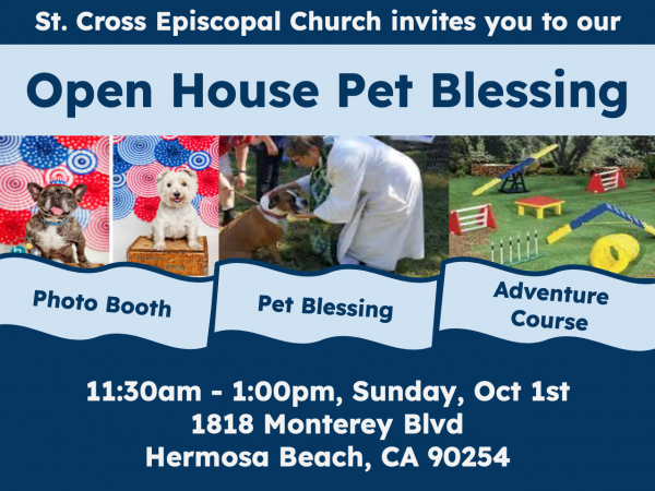ST. FRANCIS PET BLESSING THIS SUNDAY